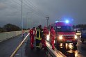 Einsatz BF Hoehenretter Koelner Seilbahn Hoehe Zoobruecke P2243